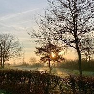 IMG_0950